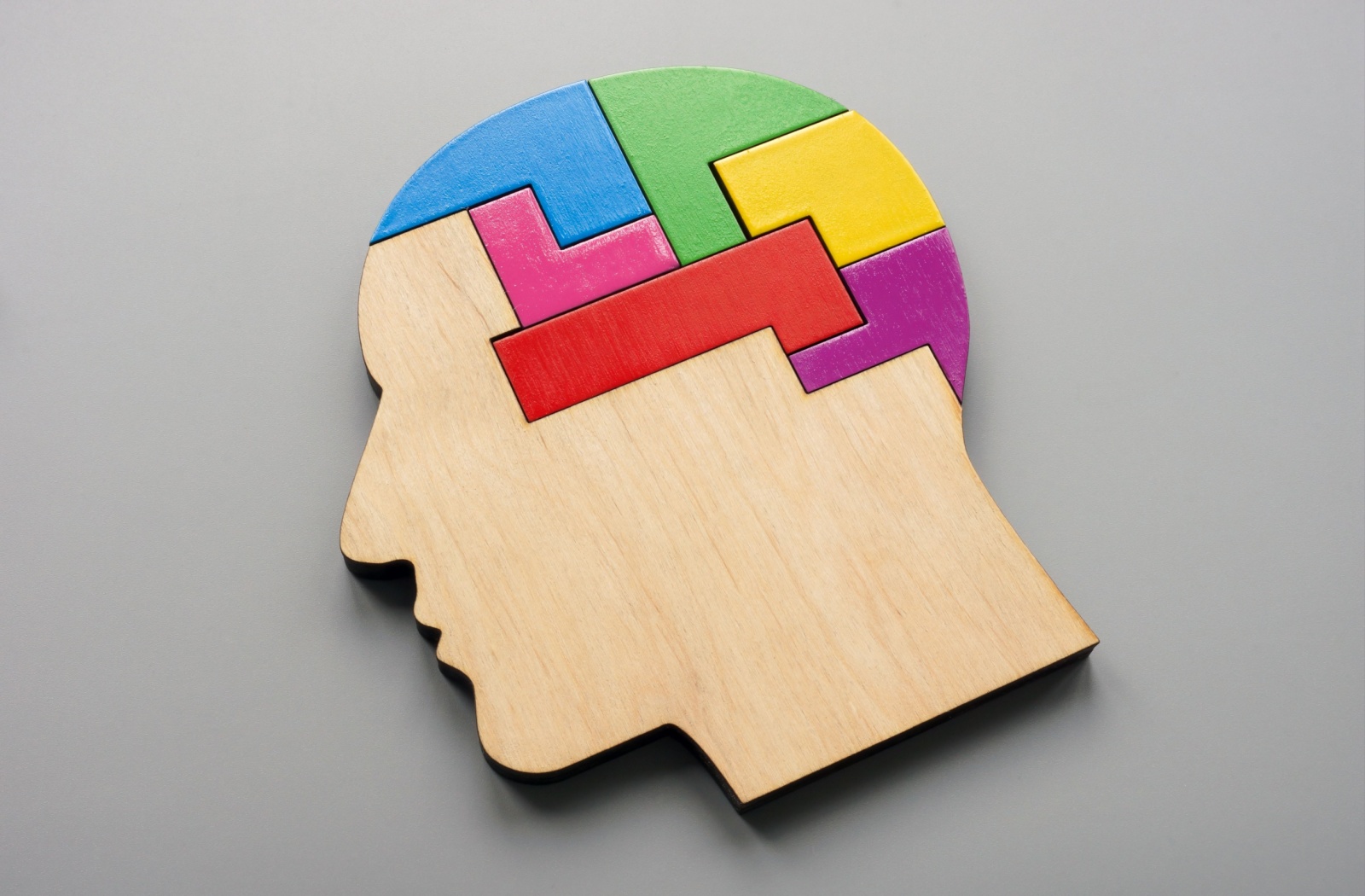 Wood cutout of head with the brain cut as puzzle pieces.